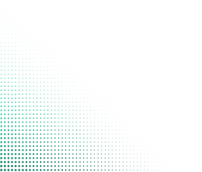 MK体育动态